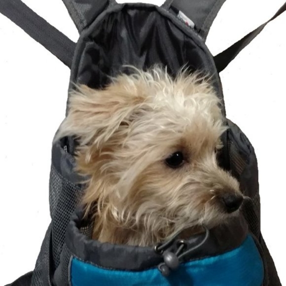 Meet Your Posher - - Picture 7 of 16